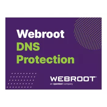 Webroot | DNS Protection with GSM Console | 1 anno | Quantità licenza 10-99 utenti