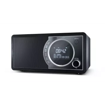 Radio digitale Sharp DR-450 – nero, personale, digitale, DAB, DAB+, FM, 87,5 – 108 MHz, 174,928 – 239,2 MHz, 3 W