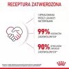 Royal Canin Kitten cibo secco per gatti 2 kg