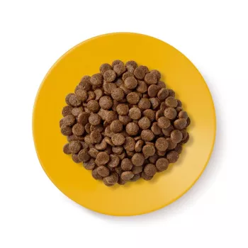 Cibo secco per gatti Applaws Senior Chicken — senza cereali / senza glutine 2 kg busta, 36,5% proteine, per gatti anziani