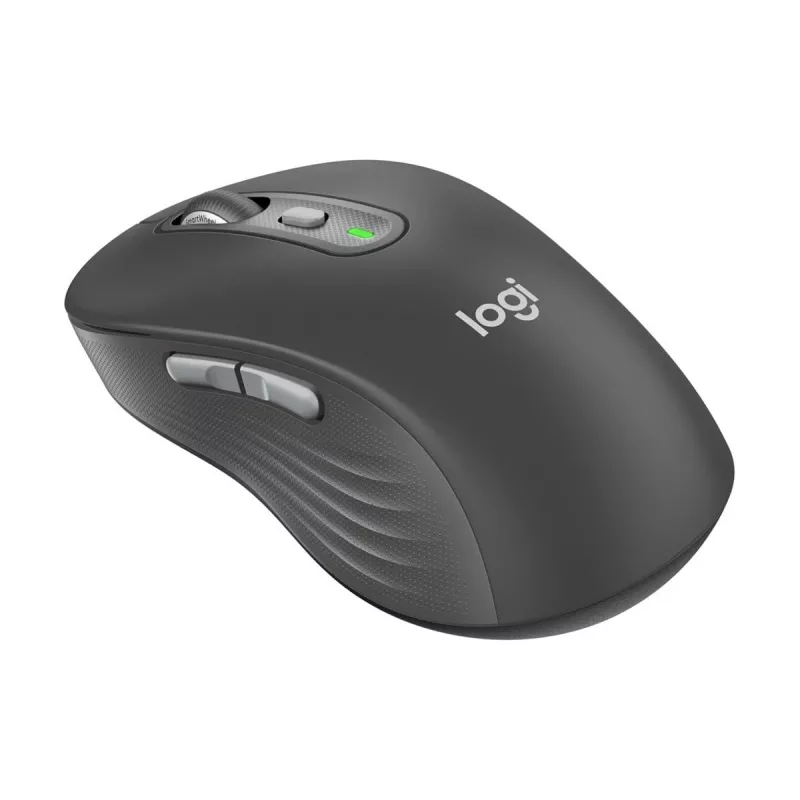 LOGITECH SIGNATURE PLUS M750 L mouse wireless - graphite-EMEA28I-935 (910-007509)