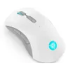 Mouse da gaming Lenovo Legion M600 RF Wireless + Bluetooth + USB Type-A, per ambidestri, 16000 DPI, 9 tasti, ricaricabile