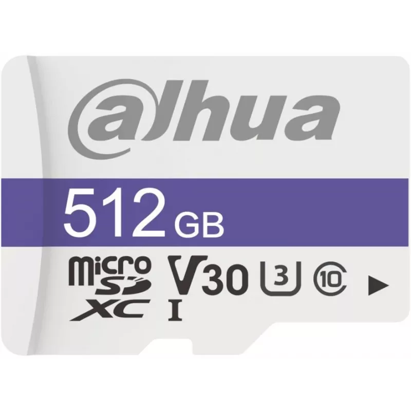 Scheda di memoria 512GB DAHUA TF-C100/512GB