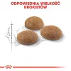 Royal Canin Outdoor cibo secco per gatti 2 kg