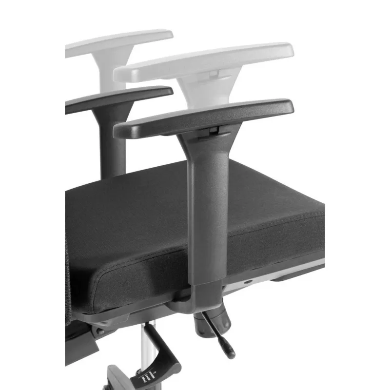 Sedia ergonomica premium Ergo Officer ER-414