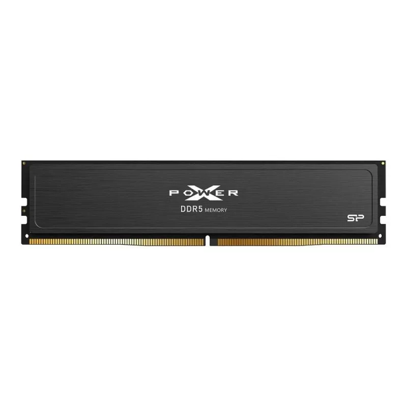 Modulo di memoria DDR5 Silicon Power XPOWER Pulse 32GB 5600MHz 1,25V CL40 Unbuffered ECC XMP 3.0