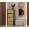 Comodino ALMA, antracite/rovere artisan