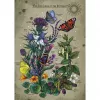 Puzzle Ravensburger Circle of Life Butterfly 1000 pezzi