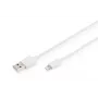 DIGITUS - Cavo Lightning - Lightning (M) a USB (M) - 1,0 m - doppio isolamento - bianco - stampato - per Apple iPad/iPhone/iPod (Lightning) (DB-600106-010-W)