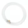 Osram Lampada fluorescente circolare L 40W/840 C G10Q bianco neutro T9