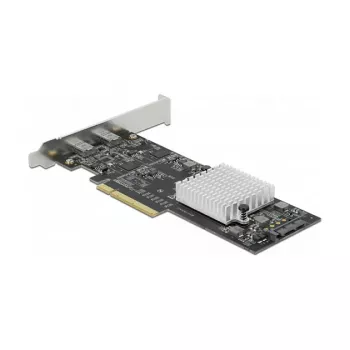 Scheda PCI Express x8 DeLOCK 89009