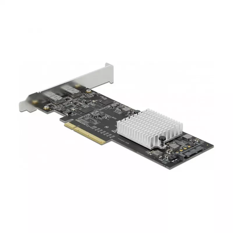 Scheda PCI Express x8 DeLOCK 89009