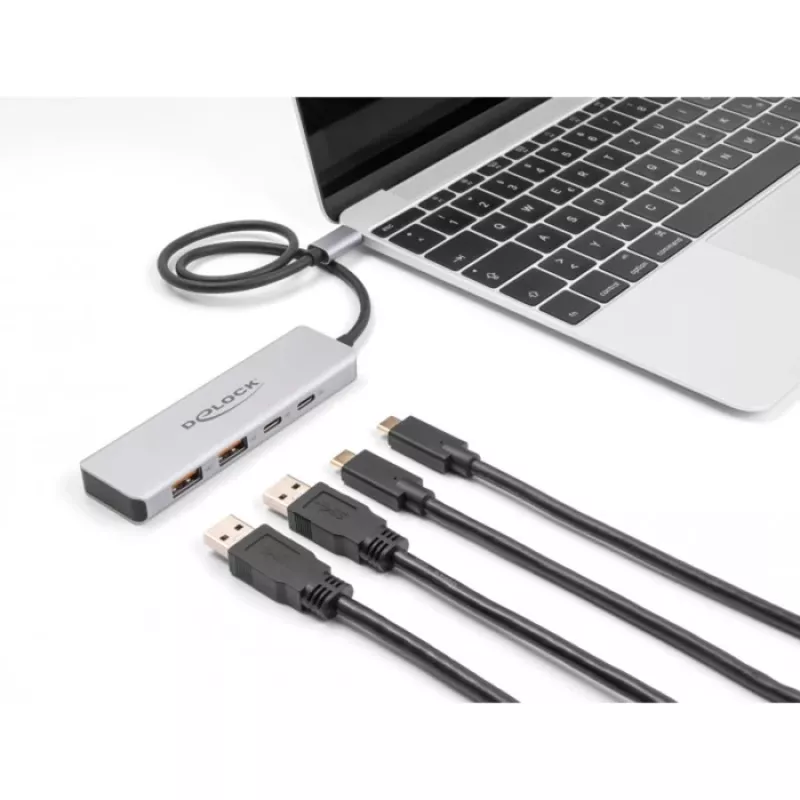 DeLOCK hub USB Type-C 10 Gbit/s 2x Type-A 2x Type-C cavo 35 cm