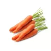 PNOS carota commestibile Lenka semi su nastro, 6 m
