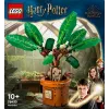 LEGO Harry Potter TM 76433 Mandragola