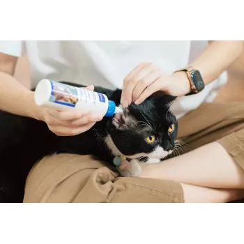 Soluzione per la cura delle orecchie VIRBAC EPI-OTIC 125 ml – detergente auricolare veterinario per cani e gatti