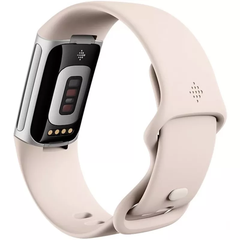 Fitbit GA05185-EU Prodotto argento