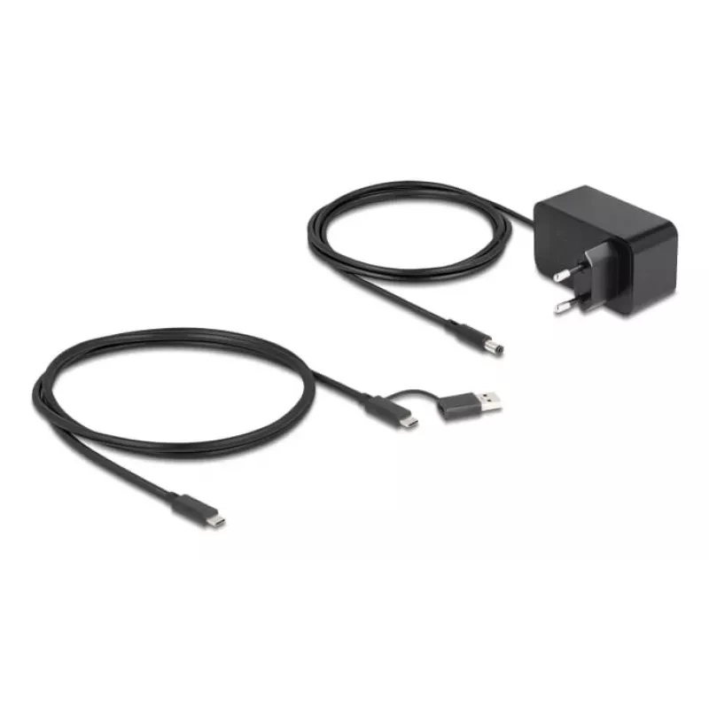 DeLOCK 64326 hub interfaccia USB 3.2 Gen 2 (3.1 Gen 2) Type-C 10000 Mbit/s nero