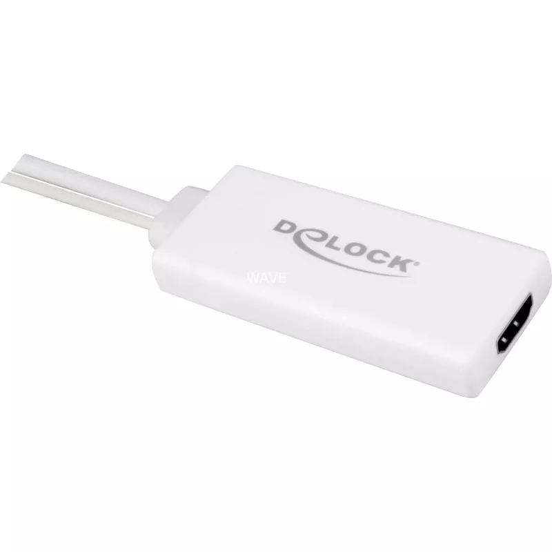 Delock - Adattatore video / audio - USB, 15 pin D-Sub (DB-15) maschio a HDMI femmina - 25cm - bianco (62460)