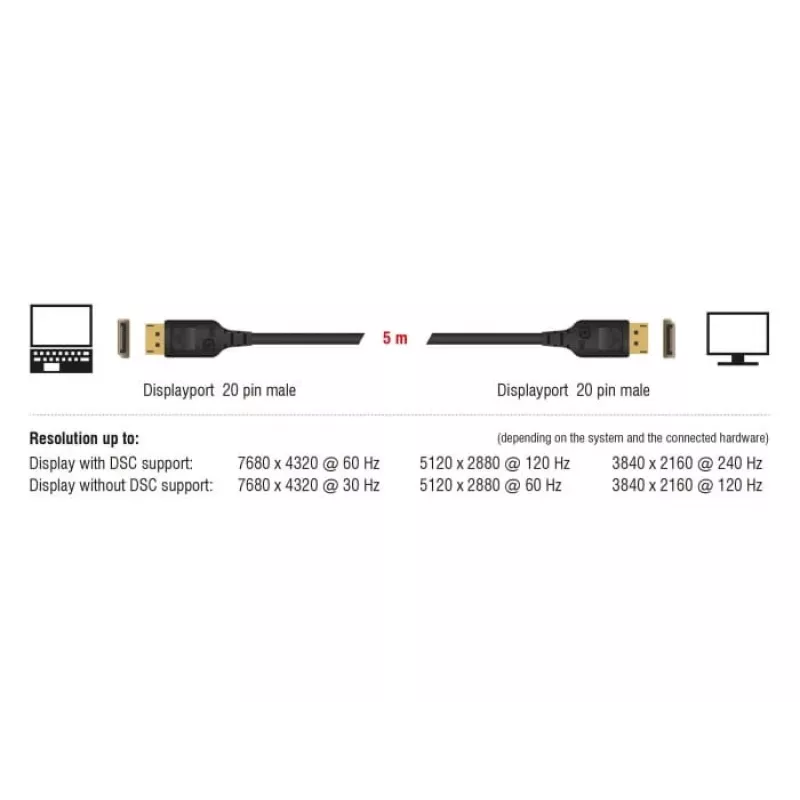 Cavo DisplayPort DeLOCK 85661 3 m nero