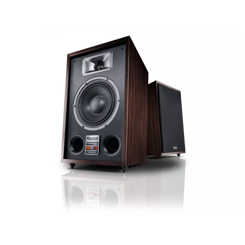 Diffusore da pavimento Magnat TRANSPULS 800A 2 vie con e senza fili 2×60 W, Bluetooth 5.0, HDMI, nero/marrone
