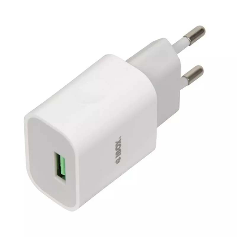 Caricabatterie iBOX C-41 USB 2A, 1 porta USB, cavo microUSB, bianco