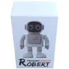 Altoparlante Bluetooth ALLNET Robert con controllo tramite app – modello Robert
