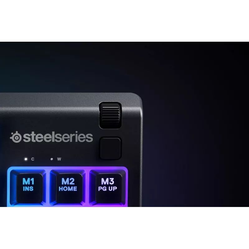 Steelseries APEX 3 TKL tastiera USB QWERTY US English nero
