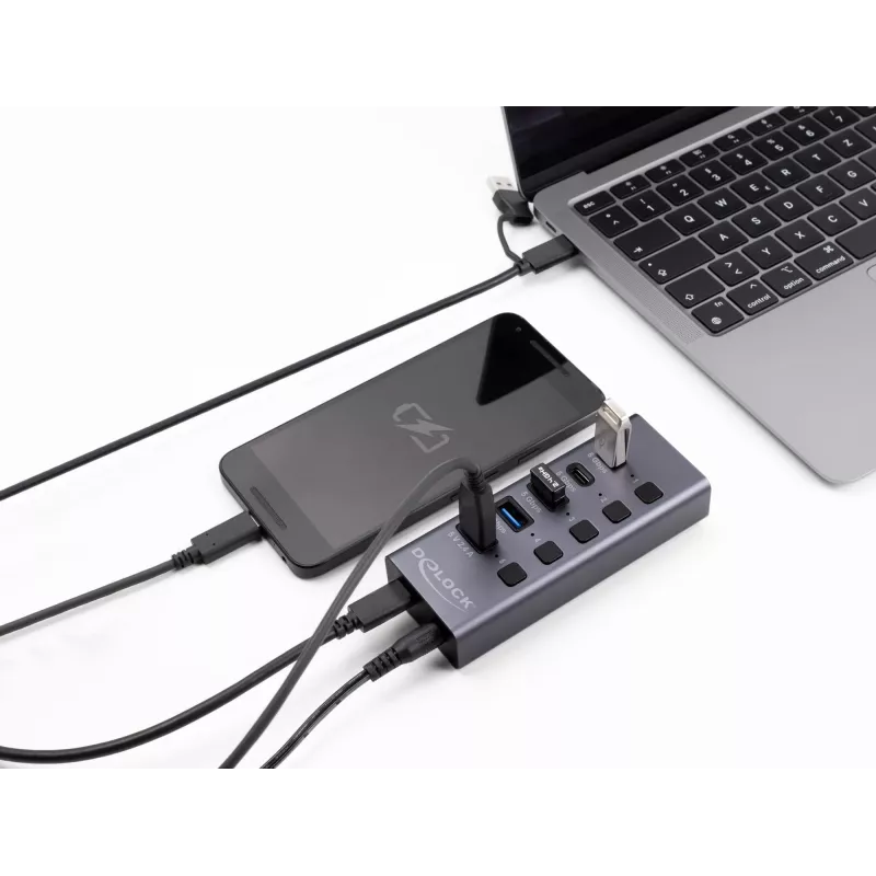 Hub USB Delock 64248 5 Gbit/s 2 x Type-A 2 x Type-C 1 porta di ricarica rapida