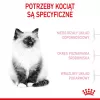 Royal Canin Kitten cibo secco per gatti 2 kg