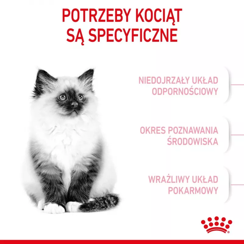 Royal Canin Kitten cibo secco per gatti 2 kg