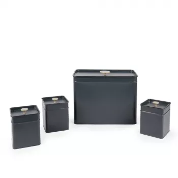 Set contenitori per cucina Salter BW126131EU7 4 pezzi, contenitori ermetici in metallo e plastica