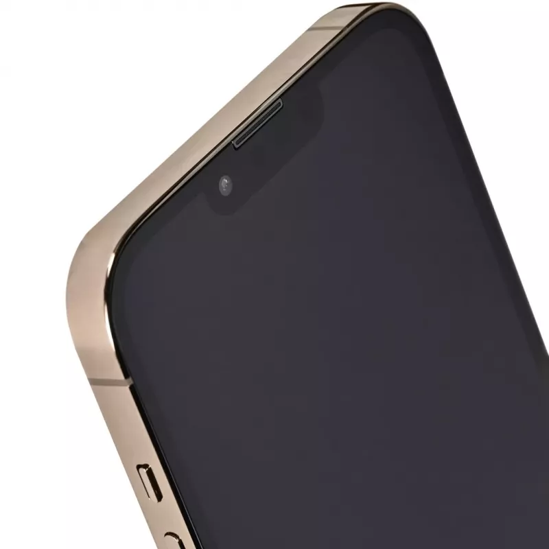 Apple iPhone 13 Pro Max 128 GB oro (REMADE by 2Bnew) 2Y Remade / rigenerato