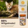 INABA Churu Varieties Chicken - snack per gatti - 50 x 14g