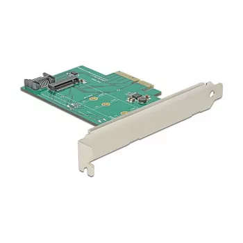 Scheda interfaccia DeLOCK 89381 interna M.2 SATA