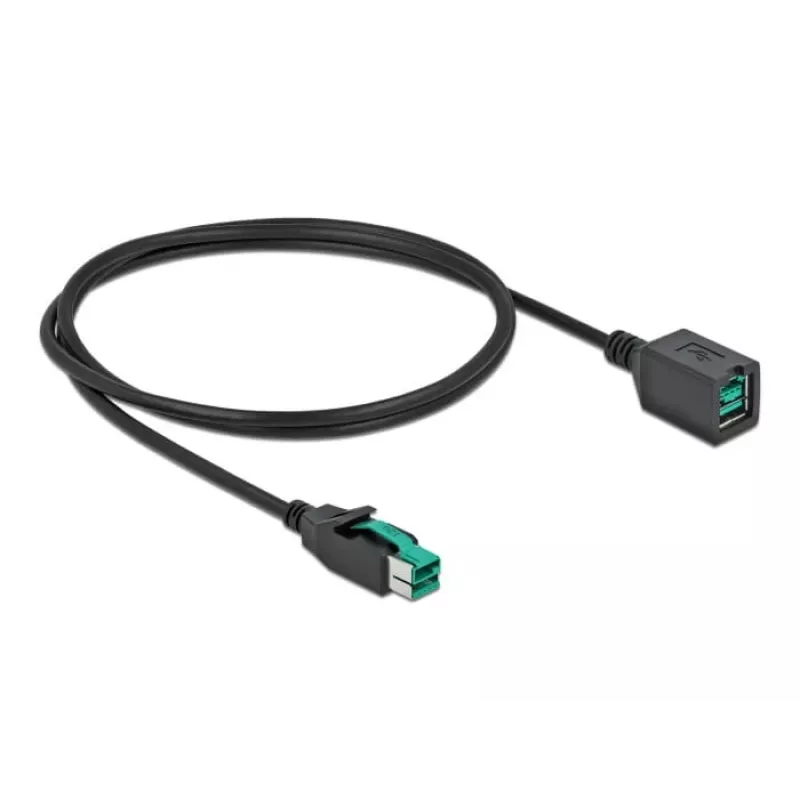 Prolunga USB alimentata DeLOCK 85980 12 V 1 m