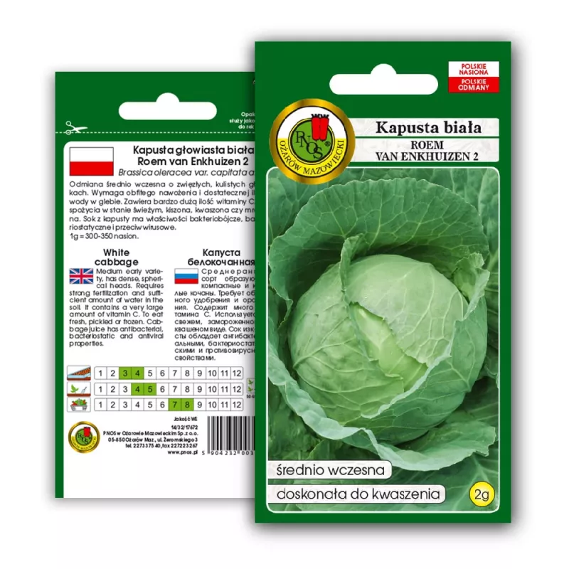PNOS cavolo bianco Roem Van Enkhuizen 2 semi di ortaggi, 2 g