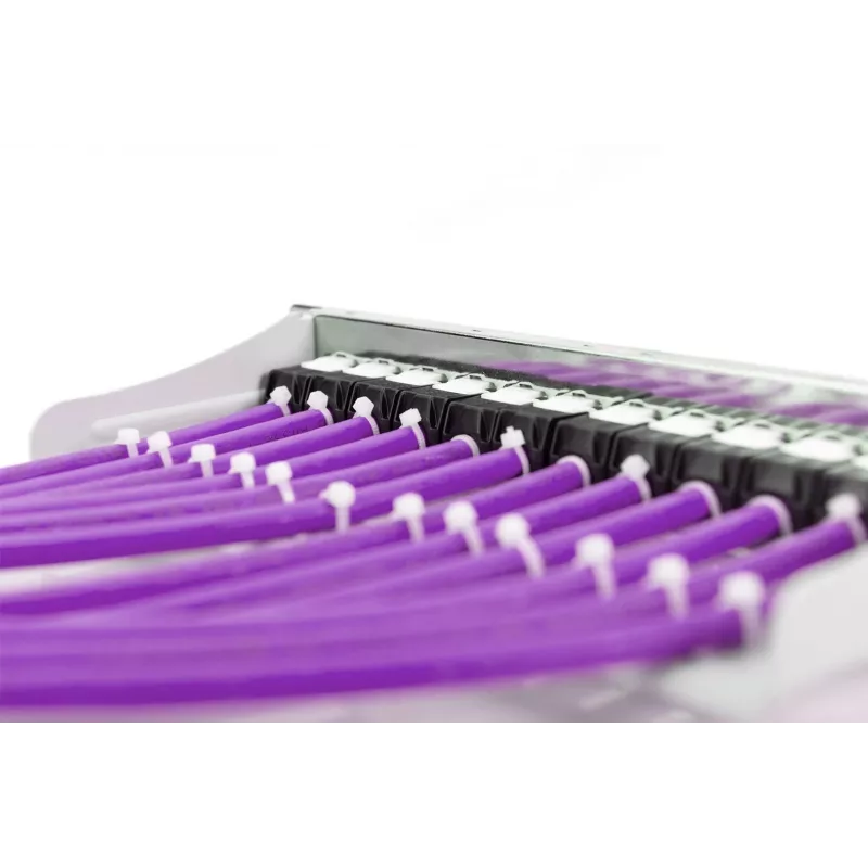 Cavo di rete Digitus Cat.6 U/UTP 305 m viola