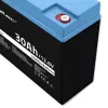 Batteria ricaricabile LiFePO4 QOLTEC 12,8V 30Ah 384Wh con BMS