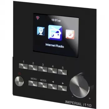 DABMAN i110 radio internet Wi-Fi + funzione media player. Wood