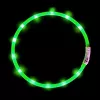 Collare LED Anicoll verde per cani e gatti modello illuminazione ricaricabile