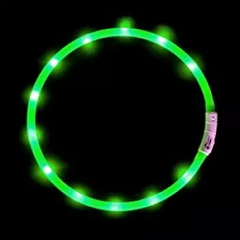 Collare LED Anicoll verde per cani e gatti modello illuminazione ricaricabile
