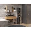 Topeshop NEL I ANT/ART mobile bagno grafite, rovere