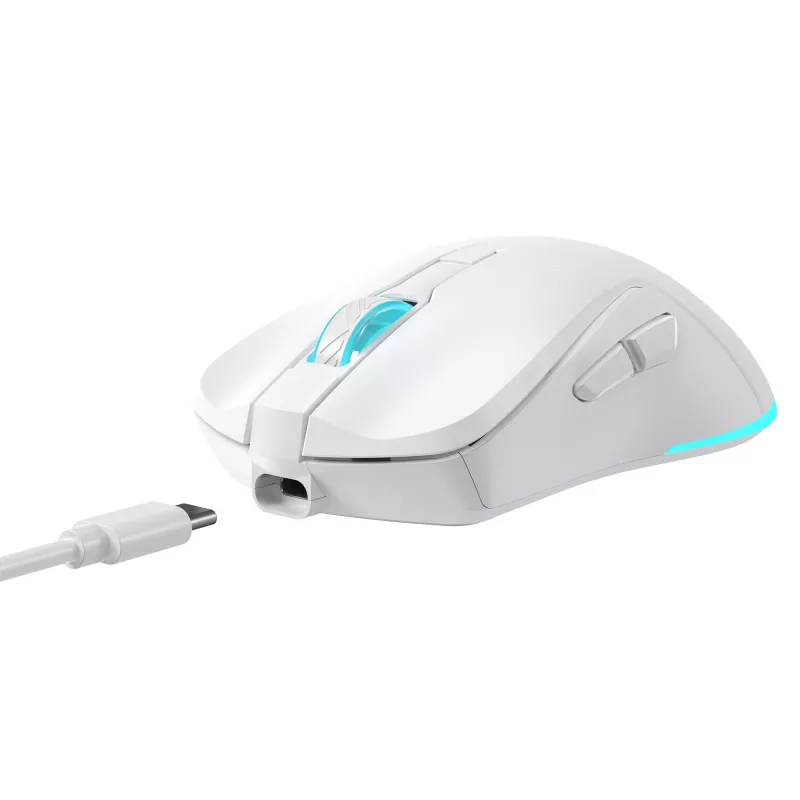 Mouse Baracuda BGM-122 Turtle bianco TURTLE-W