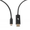 Cavo USB-C a DisplayPort TB AKTBXVDUSBCDP2B 2 m – nero