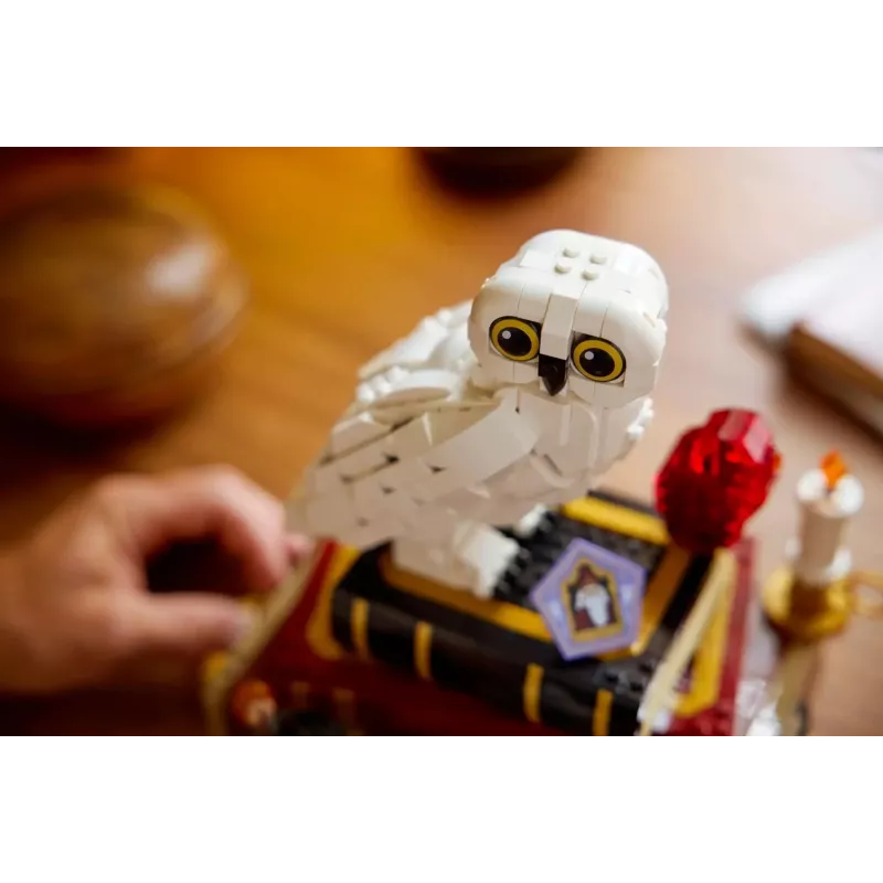 LEGO HARRY POTTER 76466 La Pietra Filosofale - Collectors' Edition