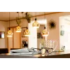Lampadina LED Segula 55058 bianco caldo 1900 K 6 W E27