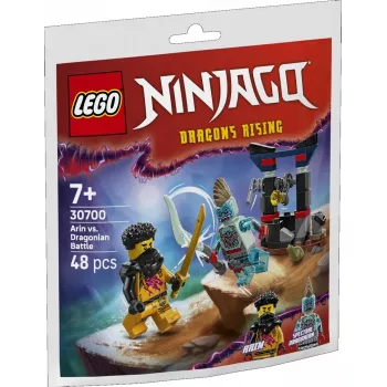 Giocattolo da costruzione set LEGO 30700 La battaglia di Arin con l'Uomo Drago Polybag (mini set)