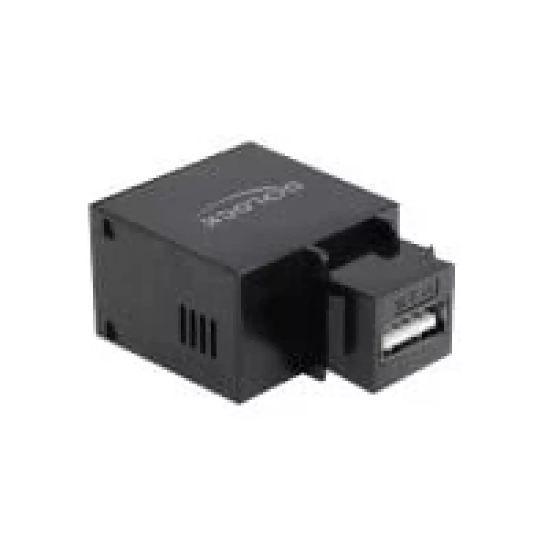 Modulo keystone DeLOCK 86506