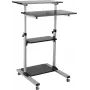 ROLINE postazione di lavoro PC in piedi - supporto per monitor LCD / tastiera / mouse / CPU / stampante - plastica, metallo - grigio, nero (17.02.1547)